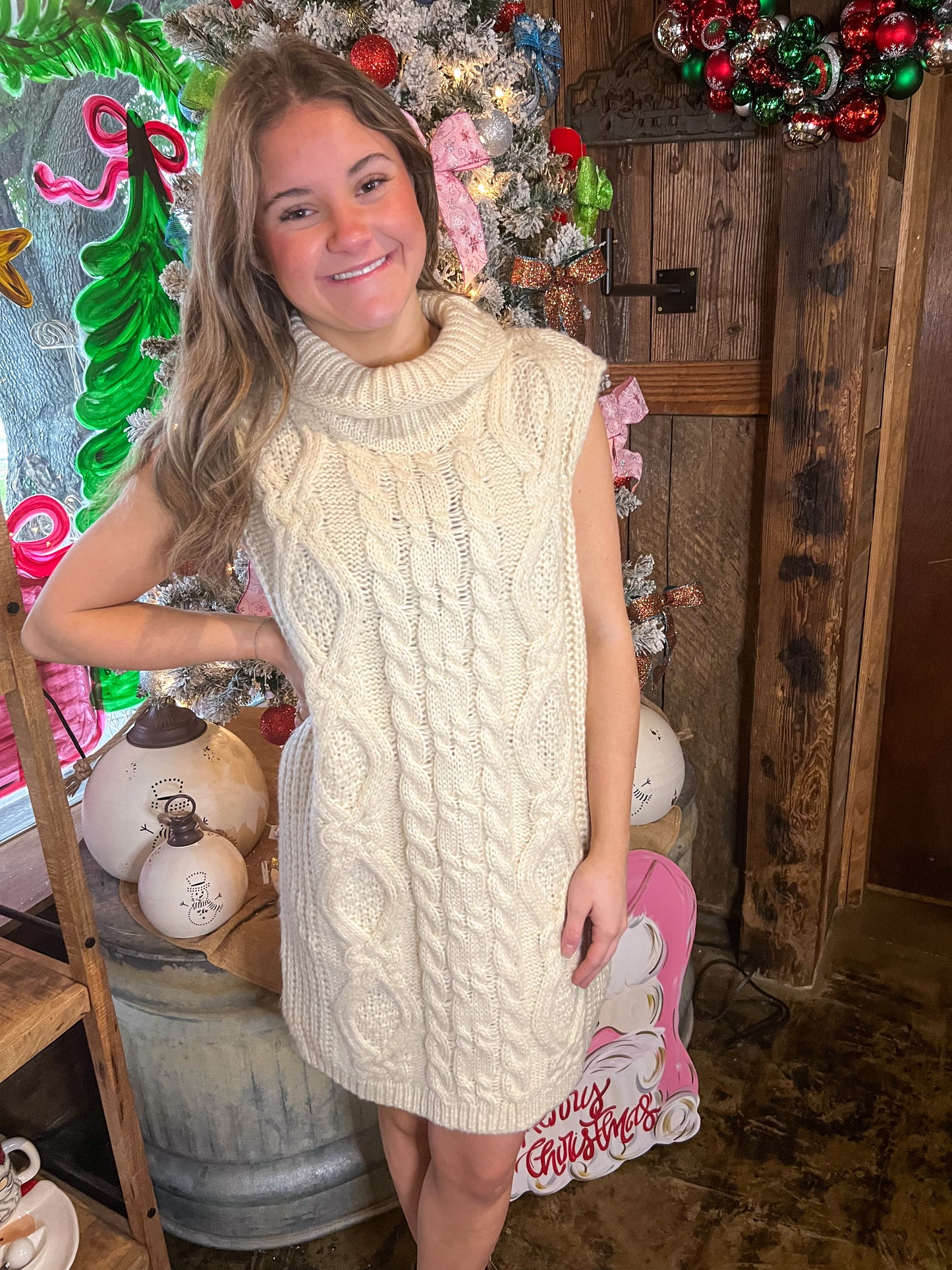 Miranda Turtle Neck Sweater Dress